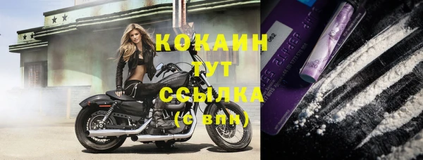 мдпв Корсаков