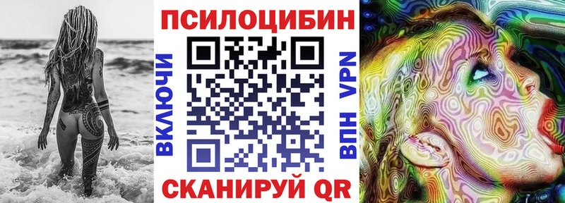 Купить  Починок  Псилоцибиновые грибы GOLDEN TEACHER 