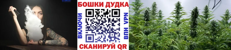 Бошки марихуана OG Kush  Купить закладки  Починок 